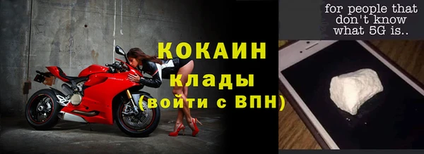 стаф Аркадак