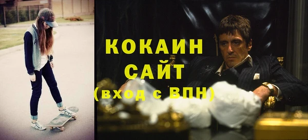 стаф Аркадак