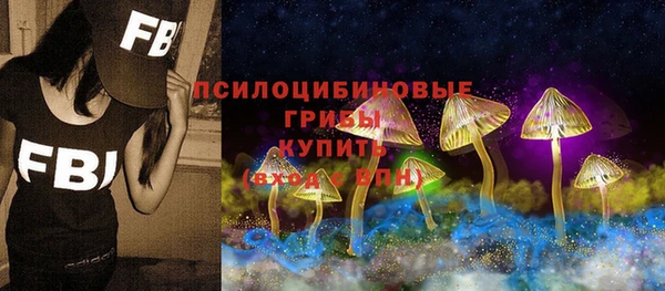 стаф Аркадак