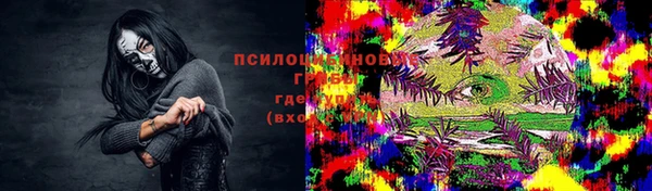 стаф Аркадак