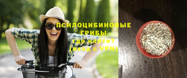 таблы Няндома