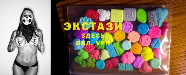 стаф Аркадак